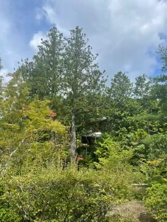 円成寺(奈良県)