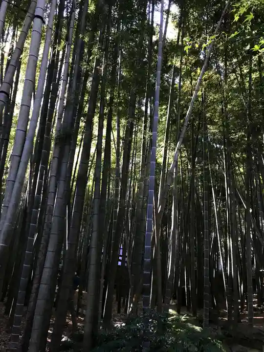 報国寺のその他建物
