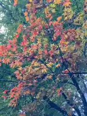 大宮温泉神社の自然