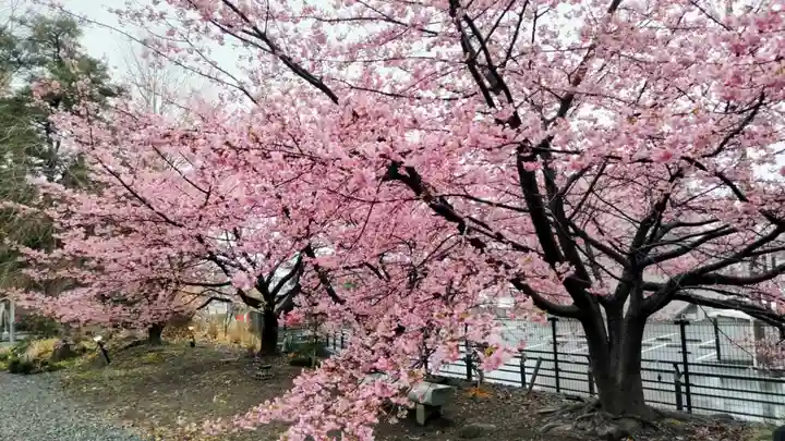 佐野原神社(静岡県)