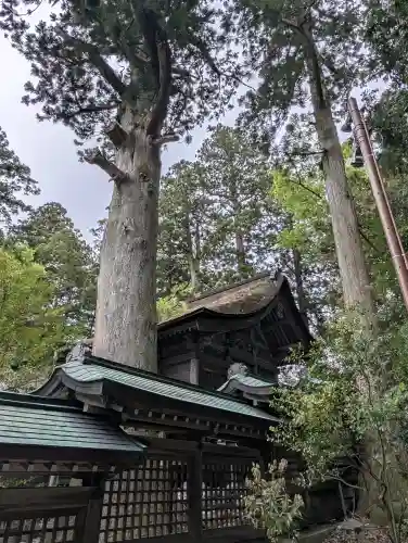 雄山神社前立社壇の{uncategorized: "未分類", other: "その他", undefined: "問題あり", building: "その他建物", grave: "お墓", sacred_gate: "鳥居", guardian: "狛犬", statue: "像", buddha: "仏像", history: "歴史", nature: "自然", garden: "庭園", animal: "動物", pagoda: "塔", temizu: "手水舎", mountain_gate: "山門・神門", sanctuary: "本殿・本堂", subordinate: "末社・摂社", art: "芸術", scenery: "景色", jizo: "地蔵", ema: "絵馬", goshuin: "御朱印", omikuji: "おみくじ", items: "授与品その他", amulet: "お守り", goshuincho: "御朱印帳", eats: "食事", festival: "お祭り", votive_dance: "神楽", shichigosan: "七五三参", wedding: "結婚式", experience: "体験その他", initially: "初詣", around: "周辺", anti_infection: "感染症対策"}