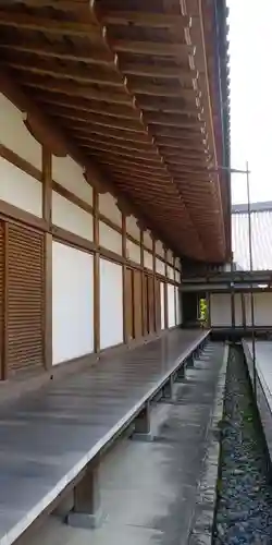  智積院の本殿・本堂