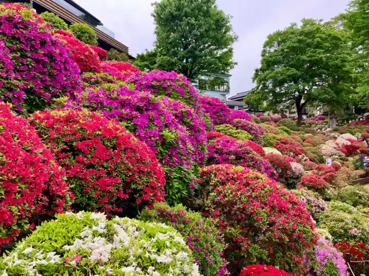 根津神社(東京都)