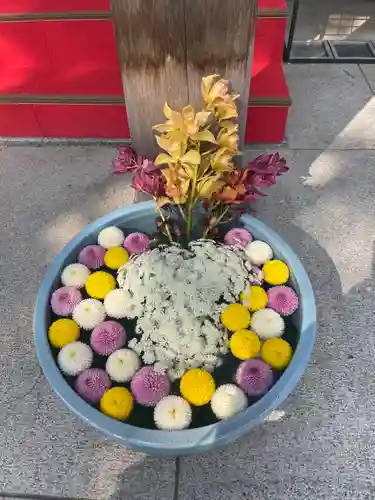 草加神社の手水舎