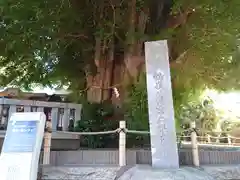 鶴嶺八幡宮の自然