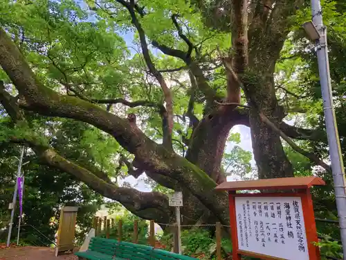 海童神社(佐賀県)