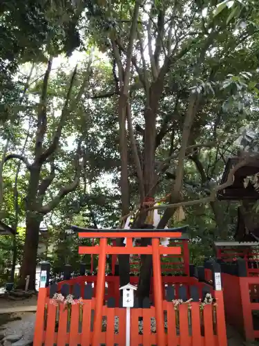 賀茂御祖神社（下鴨神社）の末社