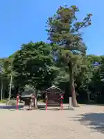 鷲宮神社(埼玉県)