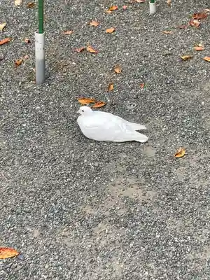 鶴岡八幡宮(神奈川県)