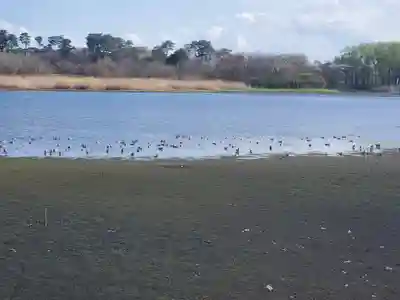 浮島辨財天(群馬県)