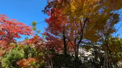 源光庵(京都府)