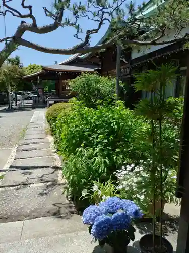 本郷氷川神社(東京都)