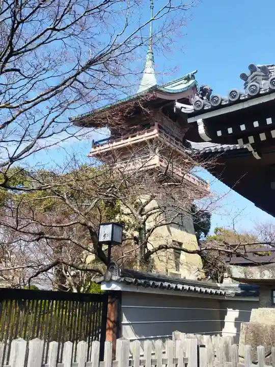 大雲院(京都府)