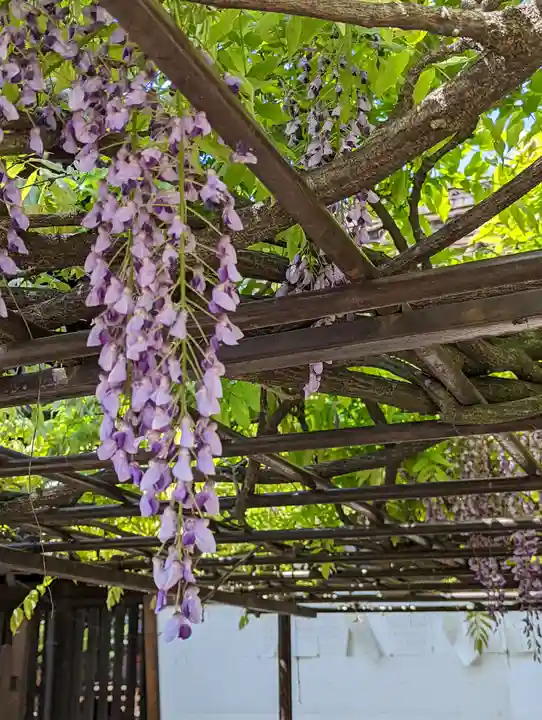 六孫王神社(京都府)