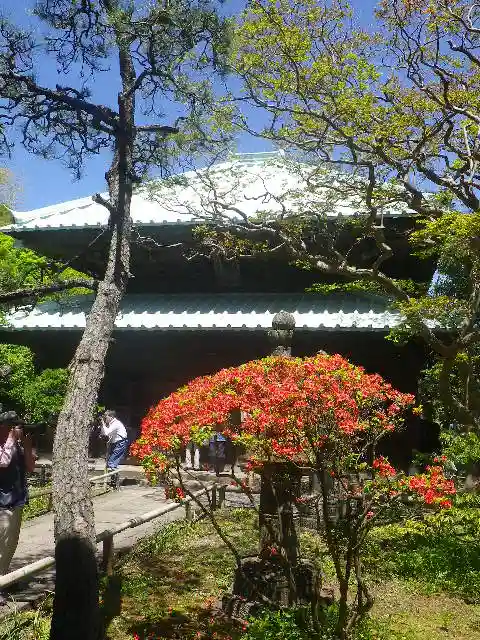 英勝寺の本殿・本堂