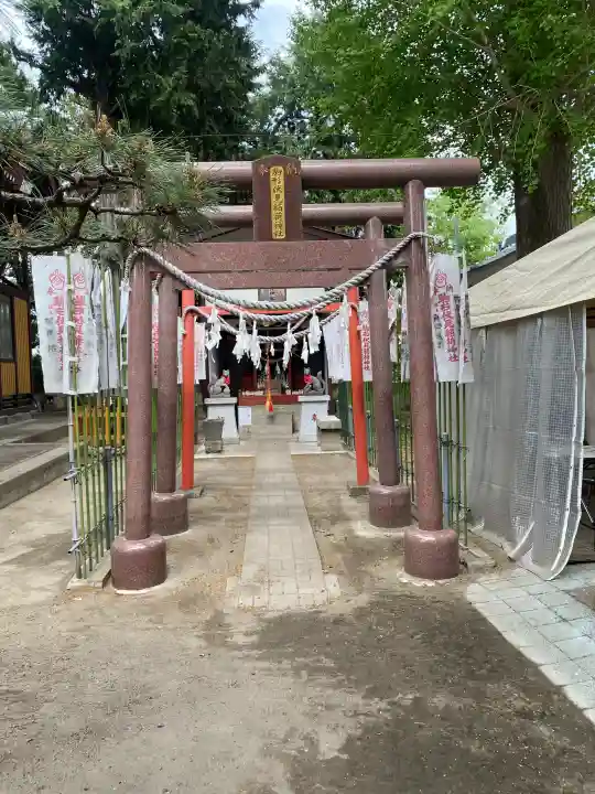 駒形神社の{uncategorized: "未分類", other: "その他", undefined: "問題あり", building: "その他建物", grave: "お墓", sacred_gate: "鳥居", guardian: "狛犬", statue: "像", buddha: "仏像", history: "歴史", nature: "自然", garden: "庭園", animal: "動物", pagoda: "塔", temizu: "手水舎", mountain_gate: "山門・神門", sanctuary: "本殿・本堂", subordinate: "末社・摂社", art: "芸術", scenery: "景色", jizo: "地蔵", ema: "絵馬", goshuin: "御朱印", omikuji: "おみくじ", items: "授与品その他", amulet: "お守り", goshuincho: "御朱印帳", eats: "食事", festival: "お祭り", votive_dance: "神楽", shichigosan: "七五三参", wedding: "結婚式", experience: "体験その他", initially: "初詣", around: "周辺", anti_infection: "感染症対策"}