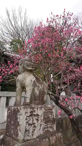 岡崎天満宮の狛犬