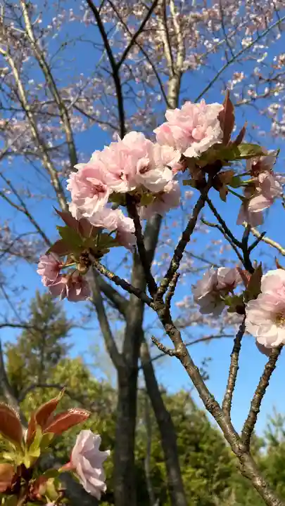 吉備津岡辛木神社(岡山県)