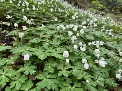 筑波山神社 女体山御本殿(茨城県)