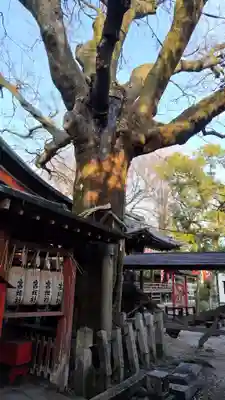 武信稲荷神社(京都府)