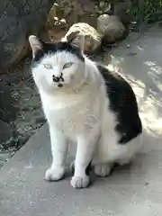 東海市熊野神社の動物