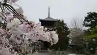 道成寺の自然