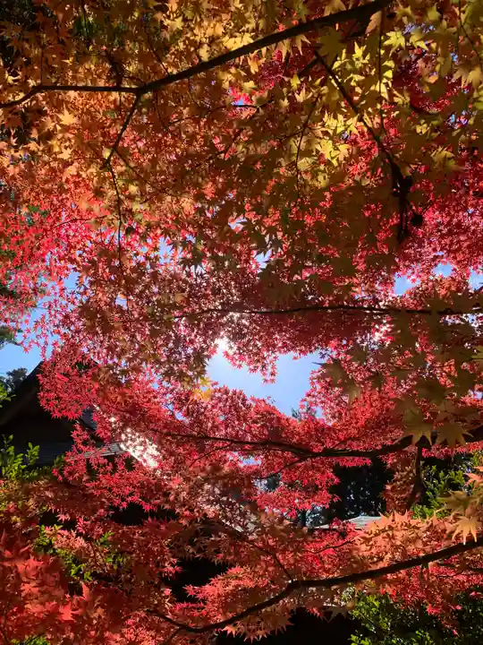 滑川神社 - 仕事と子どもの守り神(福島県)
