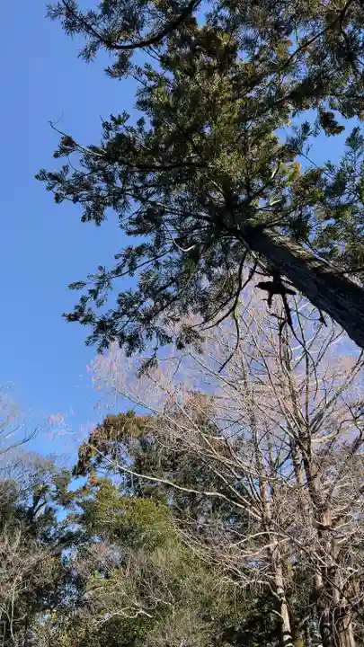 武蔵一宮氷川神社(埼玉県)