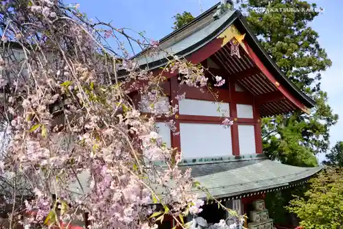 武蔵御嶽神社の本殿・本堂