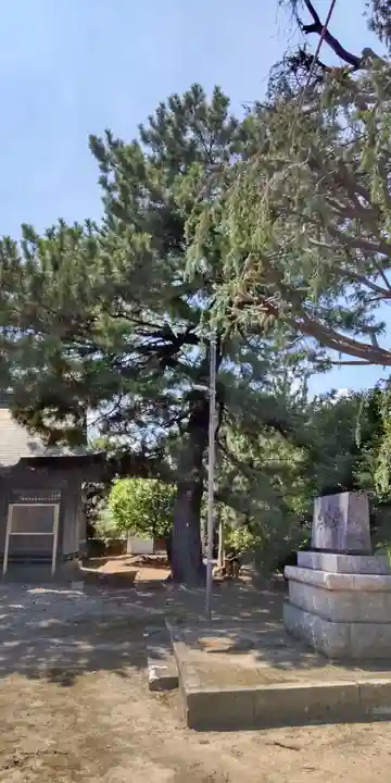 天豊受神社の自然