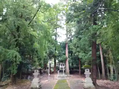 分神社(福井県)