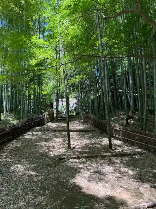 八王寺(埼玉県)