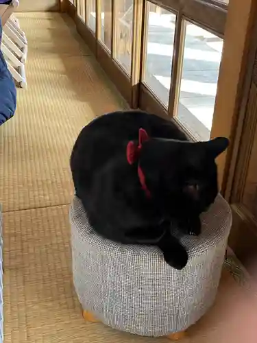 高司神社〜むすびの神の鎮まる社〜の動物
