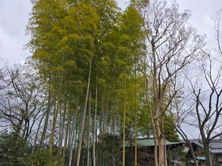 妙智院(京都府)