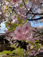 小野照崎神社の自然