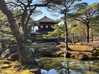 慈照寺（慈照禅寺・銀閣寺）の{uncategorized: "未分類", other: "その他", undefined: "問題あり", building: "その他建物", grave: "お墓", sacred_gate: "鳥居", guardian: "狛犬", statue: "像", buddha: "仏像", history: "歴史", nature: "自然", garden: "庭園", animal: "動物", pagoda: "塔", temizu: "手水舎", mountain_gate: "山門・神門", sanctuary: "本殿・本堂", subordinate: "末社・摂社", art: "芸術", scenery: "景色", jizo: "地蔵", ema: "絵馬", goshuin: "御朱印", omikuji: "おみくじ", items: "授与品その他", amulet: "お守り", goshuincho: "御朱印帳", eats: "食事", festival: "お祭り", votive_dance: "神楽", shichigosan: "七五三参", wedding: "結婚式", experience: "体験その他", initially: "初詣", around: "周辺", anti_infection: "感染症対策"}