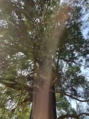 水主神社(香川県)
