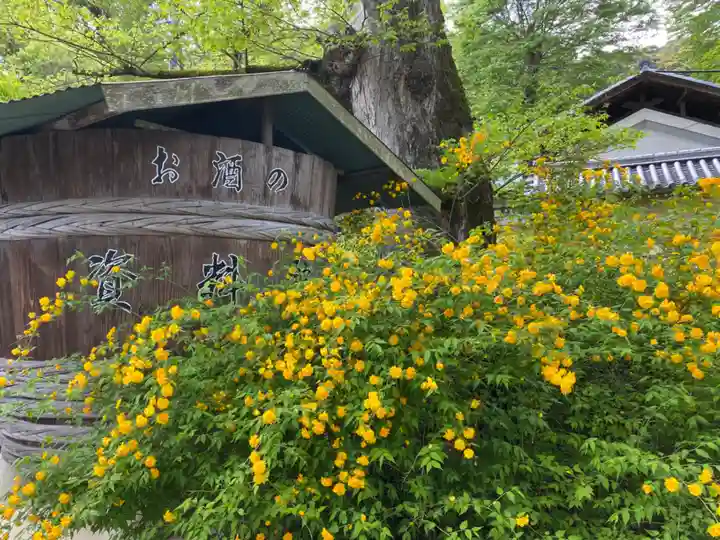 松尾大社(京都府)