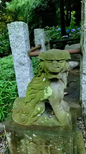 菊田神社の狛犬