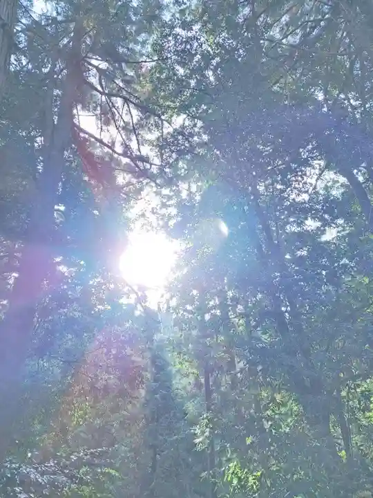 比沼麻奈為神社(京都府)