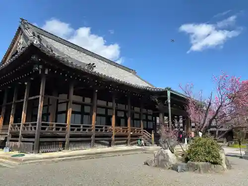 大通寺（長浜御坊）(滋賀県)