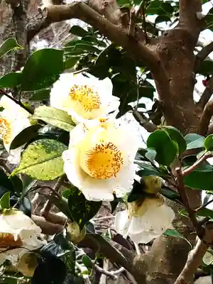 瑞泉寺(神奈川県)