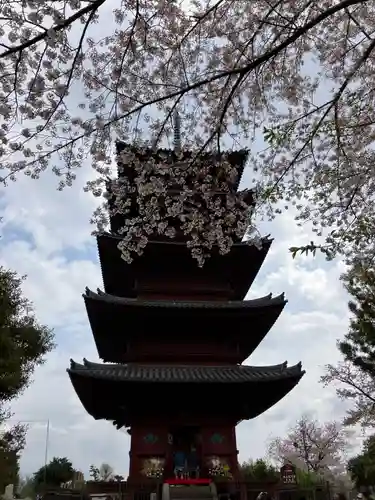 池上本門寺の塔