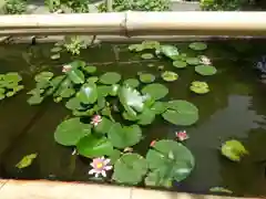 葛原岡神社(神奈川県)