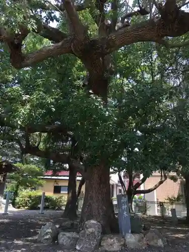 高貴神社の建物その他