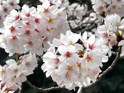 大嶋神社奥津嶋神社(滋賀県)