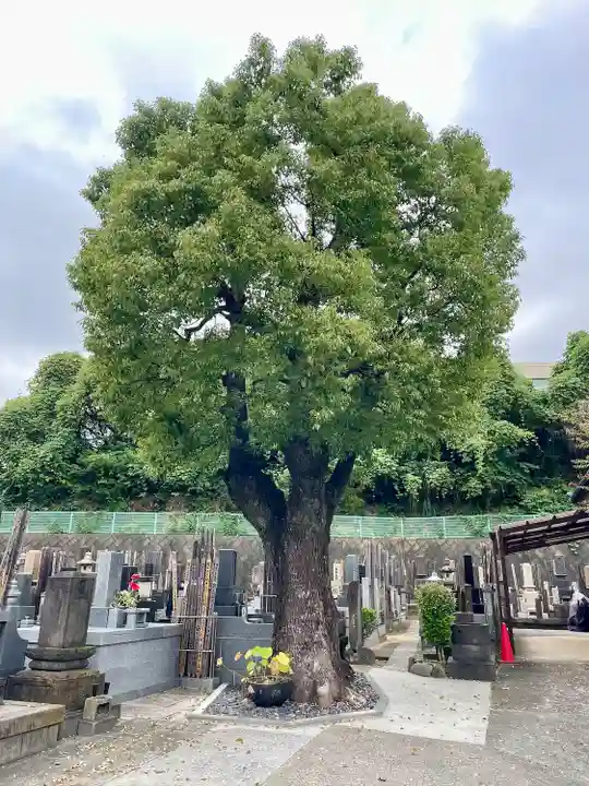 普門寺(神奈川県)