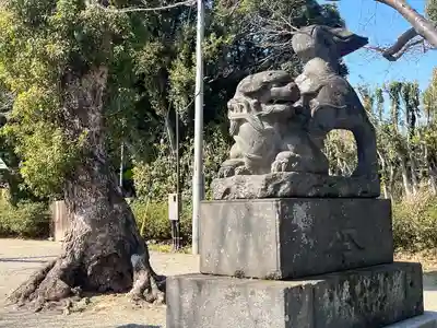 鷲宮神社(埼玉県)
