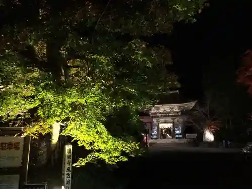 園城寺（三井寺）の建物その他