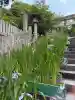 宮地嶽神社(福岡県)